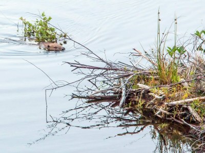 Holiday house 7 Personen Ferienhaus in lyngdal - Outdoor photo 7