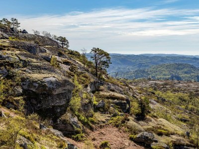 Holiday house 7 Personen Ferienhaus in lyngdal - Outdoor photo 13