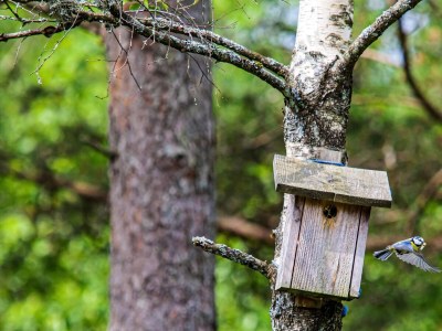 Holiday house 7 Personen Ferienhaus in lyngdal - Outdoor photo 28
