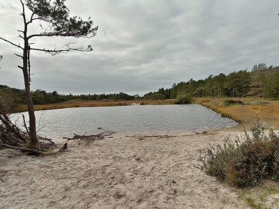 Holiday house 5 Sterne Ferienhaus in Rømø - Outdoor photo 15