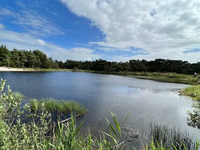 Holiday house 5 Sterne Ferienhaus in Rømø - Outdoor photo 16
