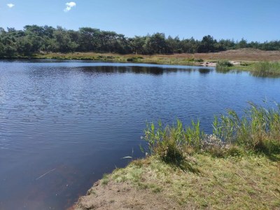 Holiday house 5 Sterne Ferienhaus in Rømø - Outdoor photo 17