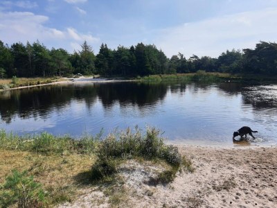 Holiday house 5 Sterne Ferienhaus in Rømø - Outdoor photo 30