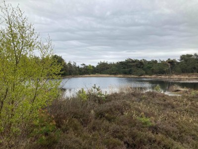 Holiday house 5 Sterne Ferienhaus in Rømø - Outdoor photo 31