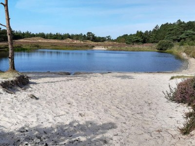 Holiday house 5 Sterne Ferienhaus in Rømø - Outdoor photo 32