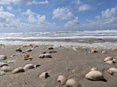 Holiday house 5 Sterne Ferienhaus in Rømø - Outdoor photo 35