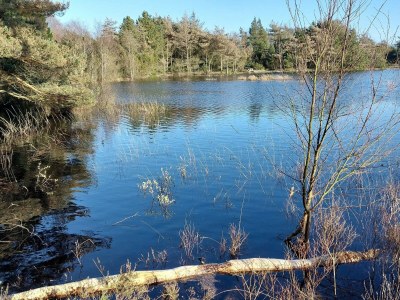 Holiday house 5 Sterne Ferienhaus in Rømø - Outdoor photo 62