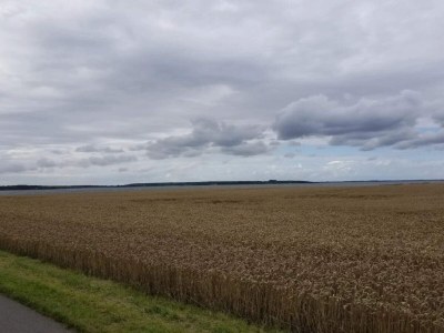Holiday house 5 Sterne Ferienhaus in Væggerløse - Outdoor photo 20
