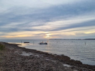 Holiday house 5 Sterne Ferienhaus in Væggerløse - Outdoor photo 22
