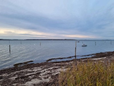 Holiday house 5 Sterne Ferienhaus in Væggerløse - Outdoor photo 26