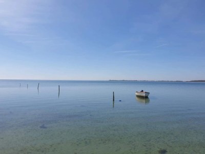 Holiday house 5 Sterne Ferienhaus in Væggerløse - Outdoor photo 33