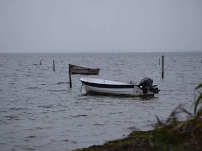 Holiday house 5 Sterne Ferienhaus in Væggerløse - Outdoor photo 42