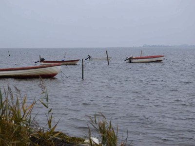 Holiday house 5 Sterne Ferienhaus in Væggerløse - Outdoor photo 43