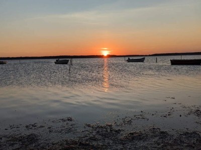 Holiday house 5 Sterne Ferienhaus in Væggerløse - Outdoor photo 44