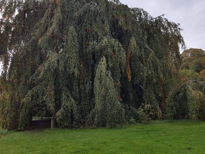 Holiday house Panoramic Fjord Retreat with Spa Bath - Outdoor photo 10