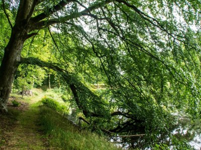 Holiday house Panoramic Fjord Retreat with Spa Bath - Outdoor photo 13