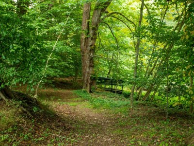 Holiday house Panoramic Fjord Retreat with Spa Bath - Outdoor photo 15