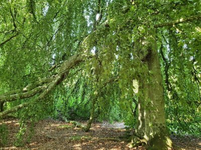 Holiday house Panoramic Fjord Retreat with Spa Bath - Outdoor photo 17