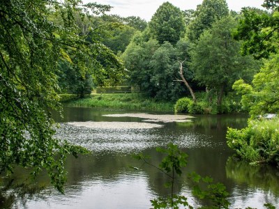 Holiday house Panoramic Fjord Retreat with Spa Bath - Outdoor photo 19