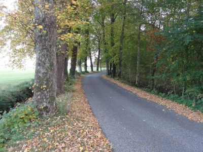 Holiday house Panoramic Fjord Retreat with Spa Bath - Outdoor photo 20