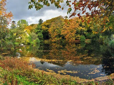 Holiday house Panoramic Fjord Retreat with Spa Bath - Outdoor photo 21