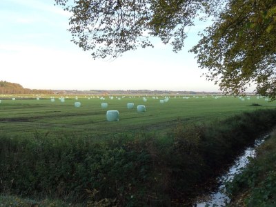 Holiday house Panoramic Fjord Retreat with Spa Bath - Outdoor photo 40