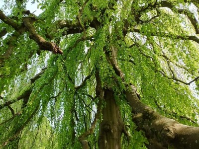 Holiday house Panoramic Fjord Retreat with Spa Bath - Outdoor photo 41