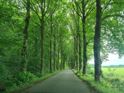 Holiday house Panoramic Fjord Retreat with Spa Bath - Outdoor photo 42