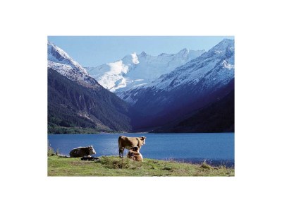 Holiday apartment Urlaubsstern - Document photo 20