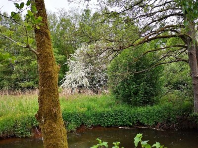 Holiday house 4 Personen Ferienhaus in Ansager - Outdoor photo 3