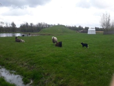 Holiday house 4 Personen Ferienhaus in Ansager - Outdoor photo 38