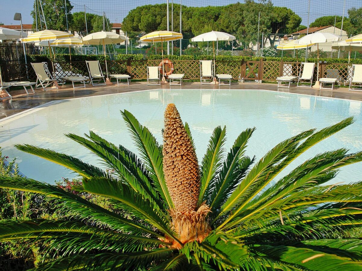 Holiday park Apartment in Tuscany near Sandy Beaches - Outdoor photo 4