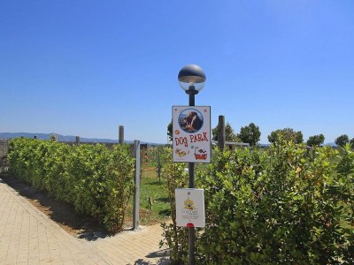 Holiday park Apartment in Tuscany near Sandy Beaches - Outdoor photo 6