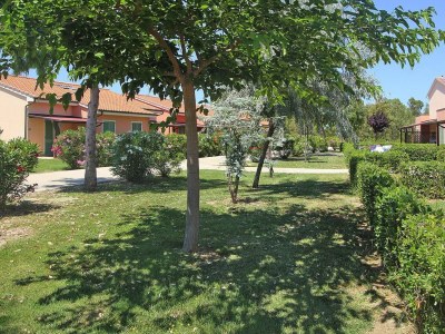 Holiday park Apartment in Tuscany near Sandy Beaches - Outdoor photo 21