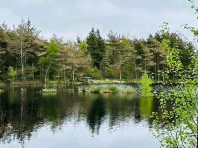 Holiday house 5 star holiday home in Rømø - Outdoor photo 18