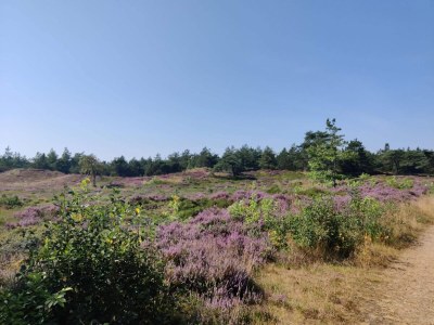 Holiday house 5 star holiday home in Rømø - Outdoor photo 30