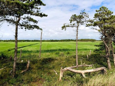 Holiday house 5 star holiday home in Rømø - Outdoor photo 39