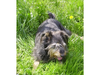 Holiday apartment Studio holiday apartment - Environment photo 16