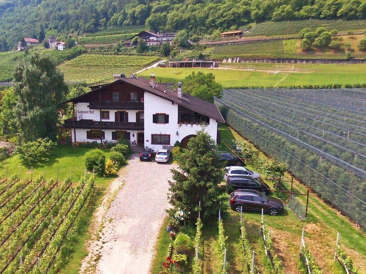 Holiday apartment Birken - Outdoor photo 5