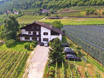 Holiday apartment Birken - Outdoor photo 5