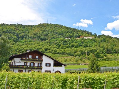 Holiday apartment Birken - Outdoor photo 7