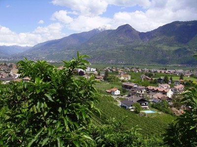 Holiday apartment Birken - Environment photo 11