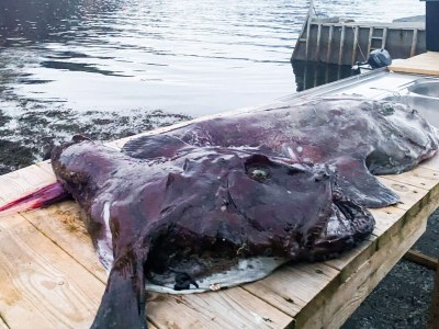 Holiday house 12 person holiday home in Davik - Outdoor photo 8