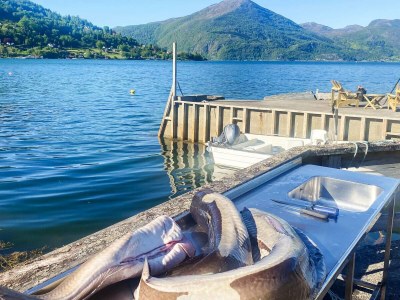 Holiday house 12 person holiday home in Davik - Outdoor photo 22