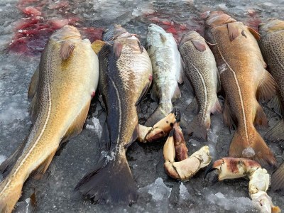 Holiday house 12 person holiday home in Davik - Outdoor photo 31