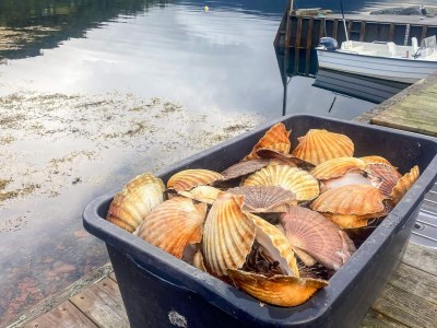 Holiday house 12 person holiday home in Davik - Outdoor photo 46