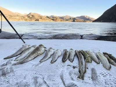 Holiday house 12 person holiday home in Davik - Outdoor photo 57