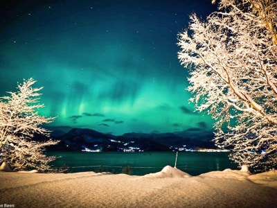 Holiday house 12 person holiday home in Davik - Outdoor photo 86