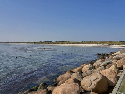 Holiday house 6 person holiday home in Ålbæk - Outdoor photo 22