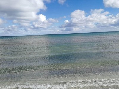 Holiday house 6 person holiday home in Ålbæk - Outdoor photo 30